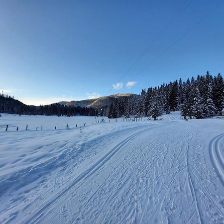 Apartmenthaus Almwiese Flattnitz Экстерьер фото