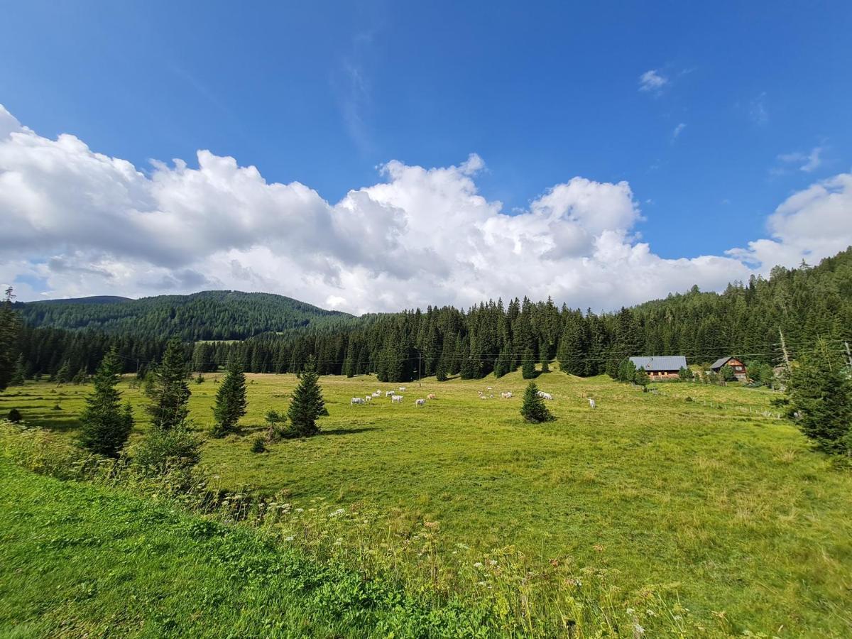 Apartmenthaus Almwiese Flattnitz Экстерьер фото