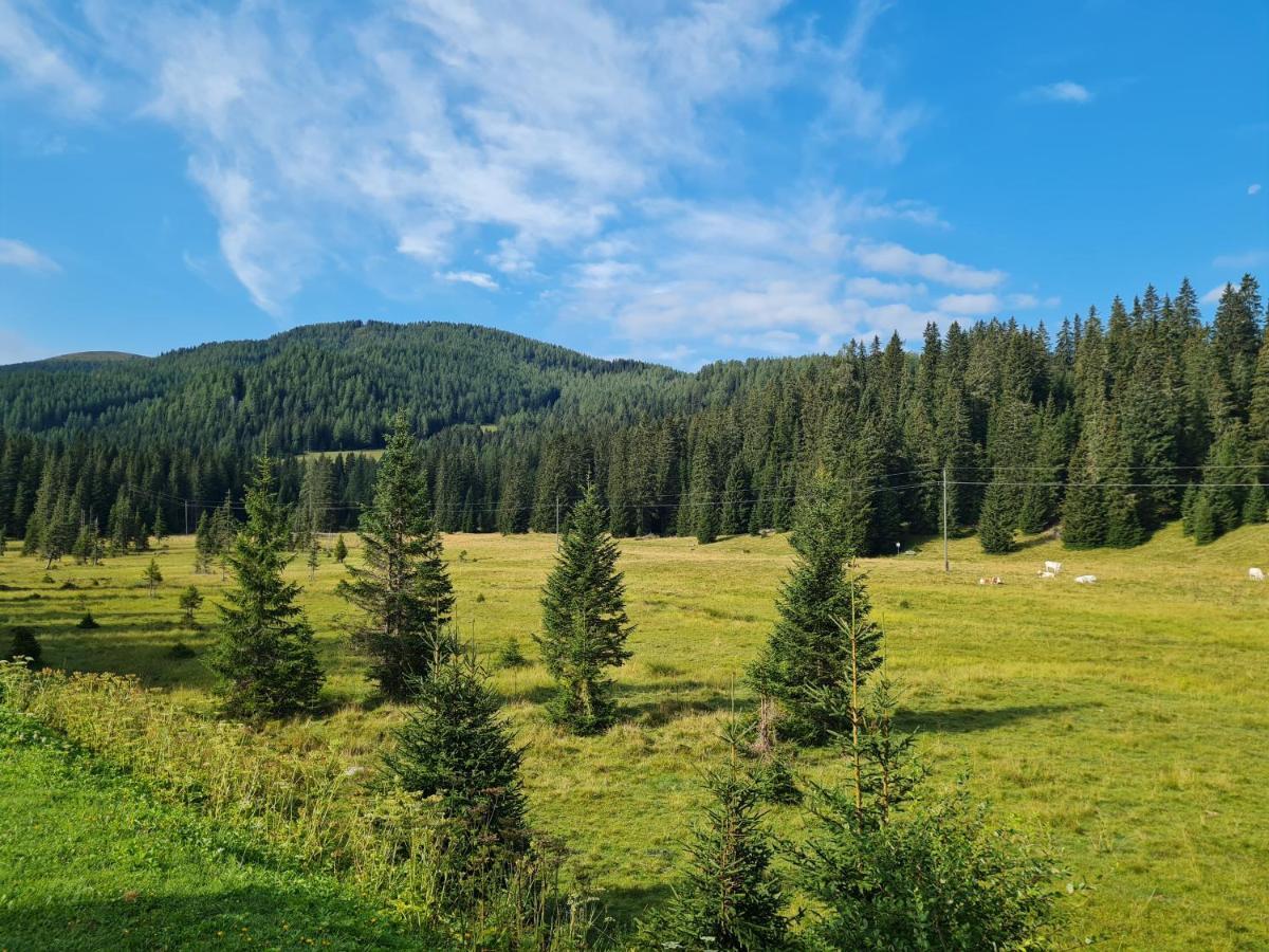 Apartmenthaus Almwiese Flattnitz Экстерьер фото