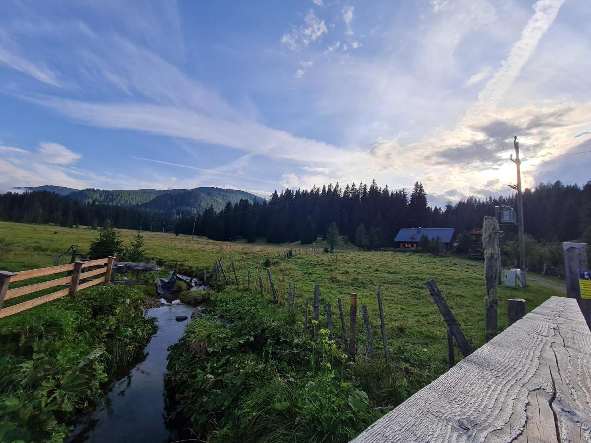 Apartmenthaus Almwiese Flattnitz Экстерьер фото