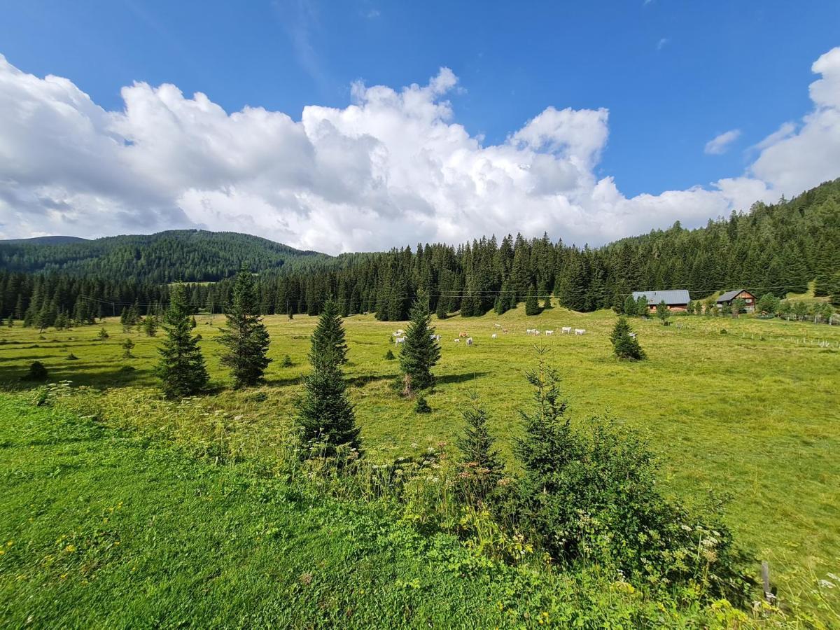Apartmenthaus Almwiese Flattnitz Экстерьер фото